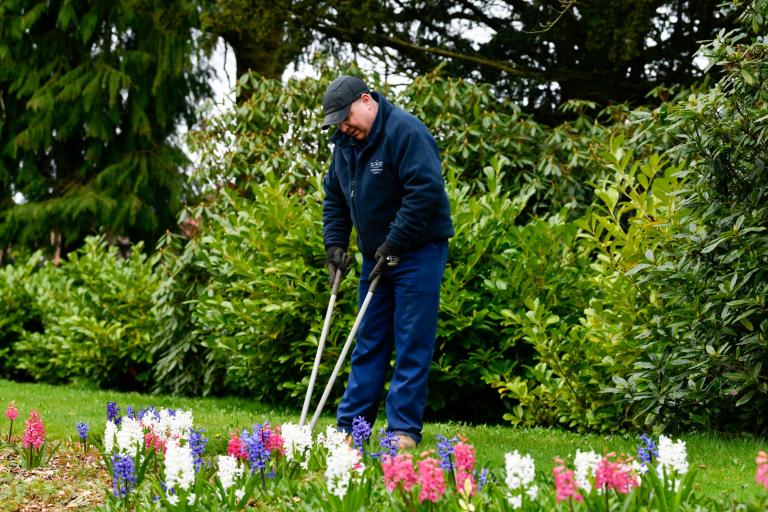 Man trimming edge of lawn