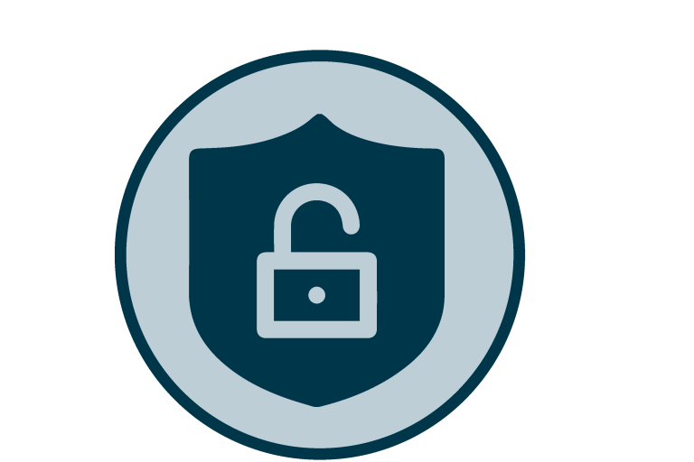 shield padlock icon