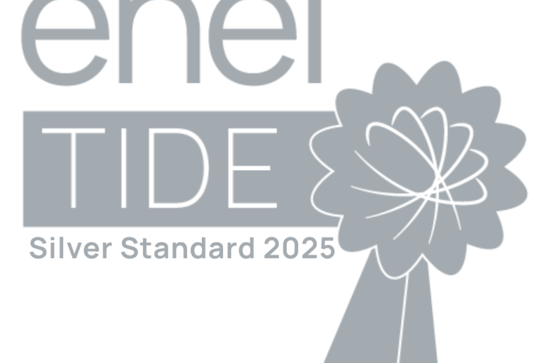 ENEI TIDE Silver Standard 2025 Award Badge